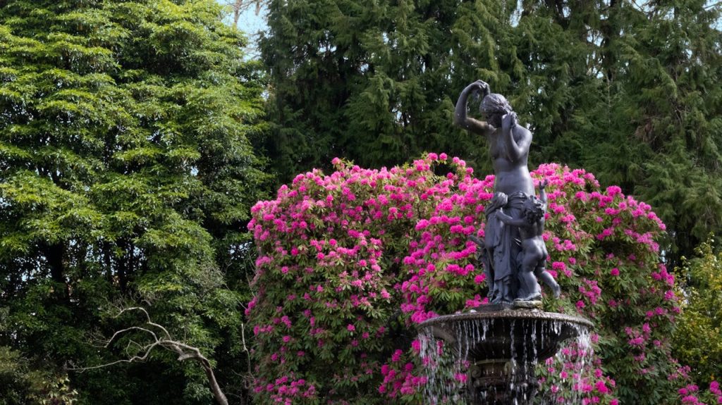 MDR Garten als grüne Inspiration für Haus und Alltag