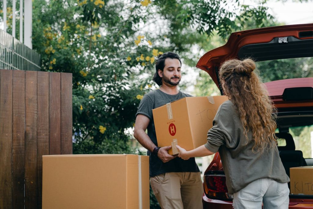 Aufbewahrungsbox im Garten als praktische Lösung für Ordnung und Schutz