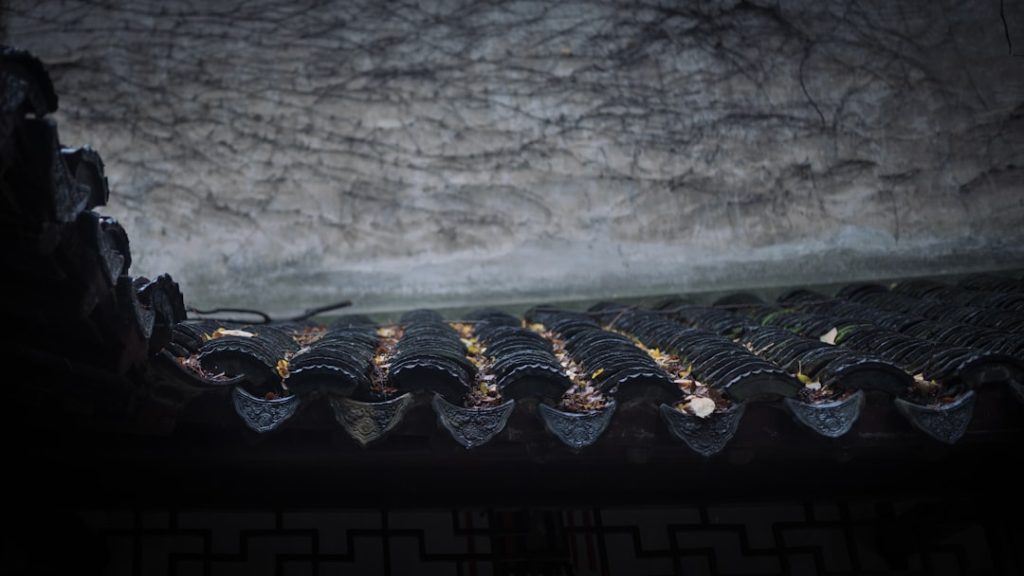 Ameisen im Garten richtig begegnen: Natürliche Wege zur Vertreibung